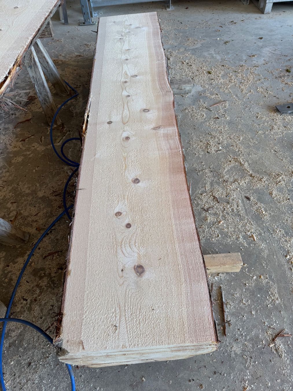 Articoli in legno: Thuja klotzbretter ganzer Stamm – Usato da Holziken venduto da Timbergrizzly 6