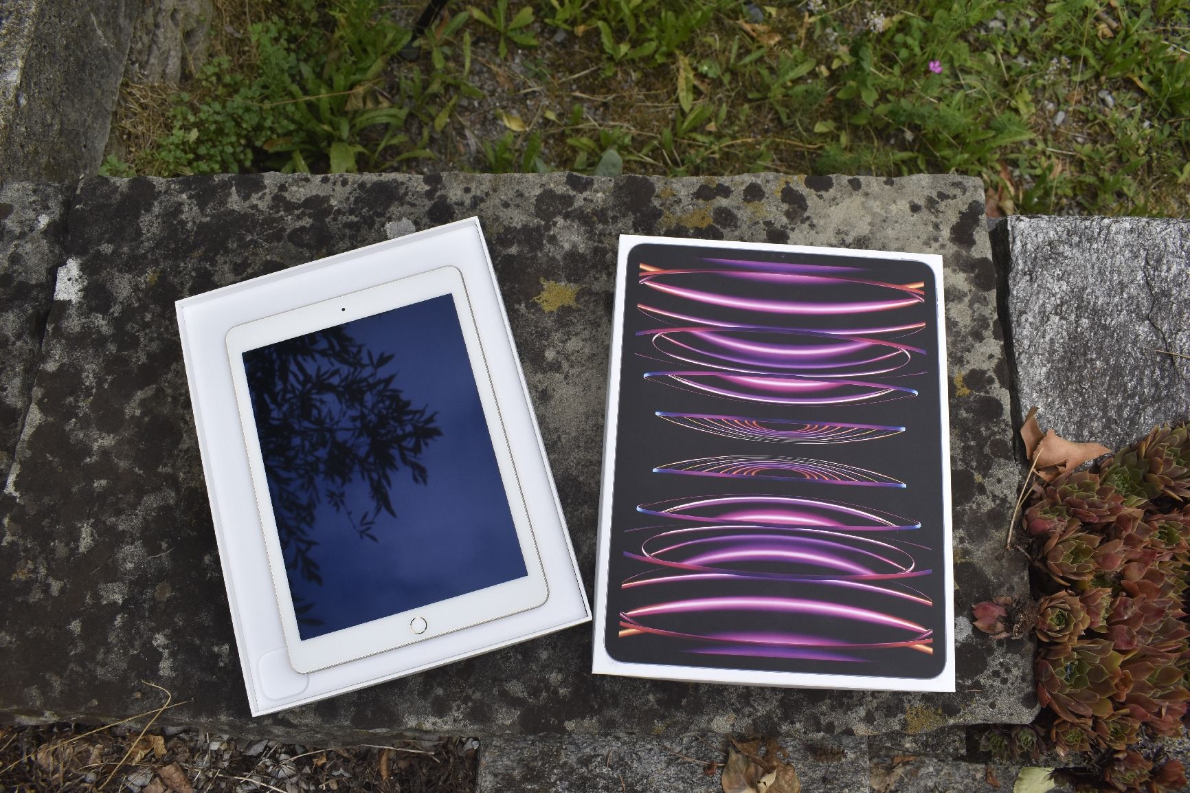 Apple Tablettes PC: iPad  Pro (12,9", 6. Generation) – D'occasion à St. Gallen par rah_lr55