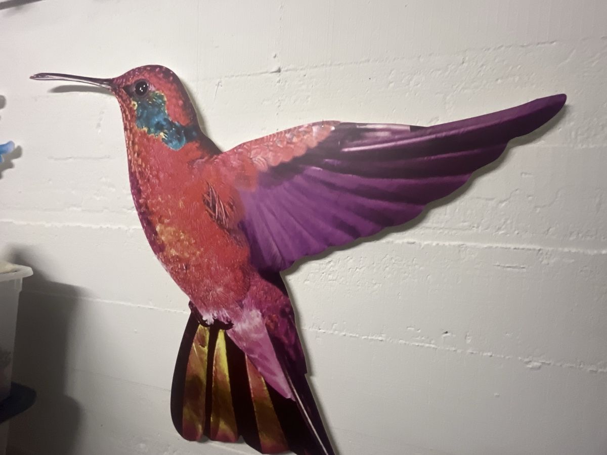 Foto & Immagini: 2 grosse Kolibris Wandbilder Deko – Usato da Bellach venduto da jba03