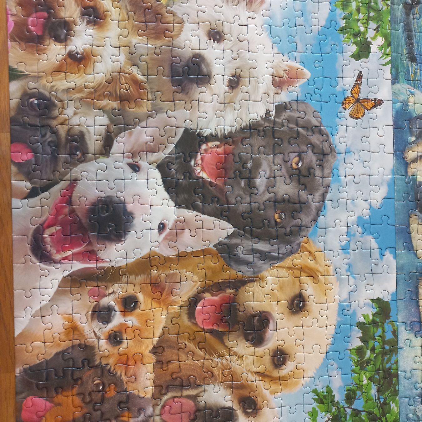Ravensburger Puzzles: Ravensburger Puzzle 2×300 pièces  – Neu (gemäss Beschreibung) aus Dompierre FR von fat_xth5 2