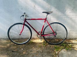 Vintage Rennvelo Fuji 54