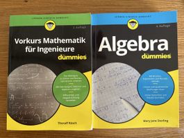 2 Mathematik Bücher für Dummies Algebra Vorkurs Set
