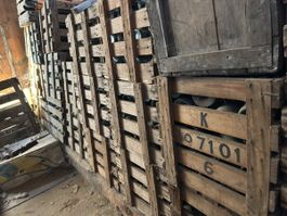 Lot de bouteilles en verre (vin)