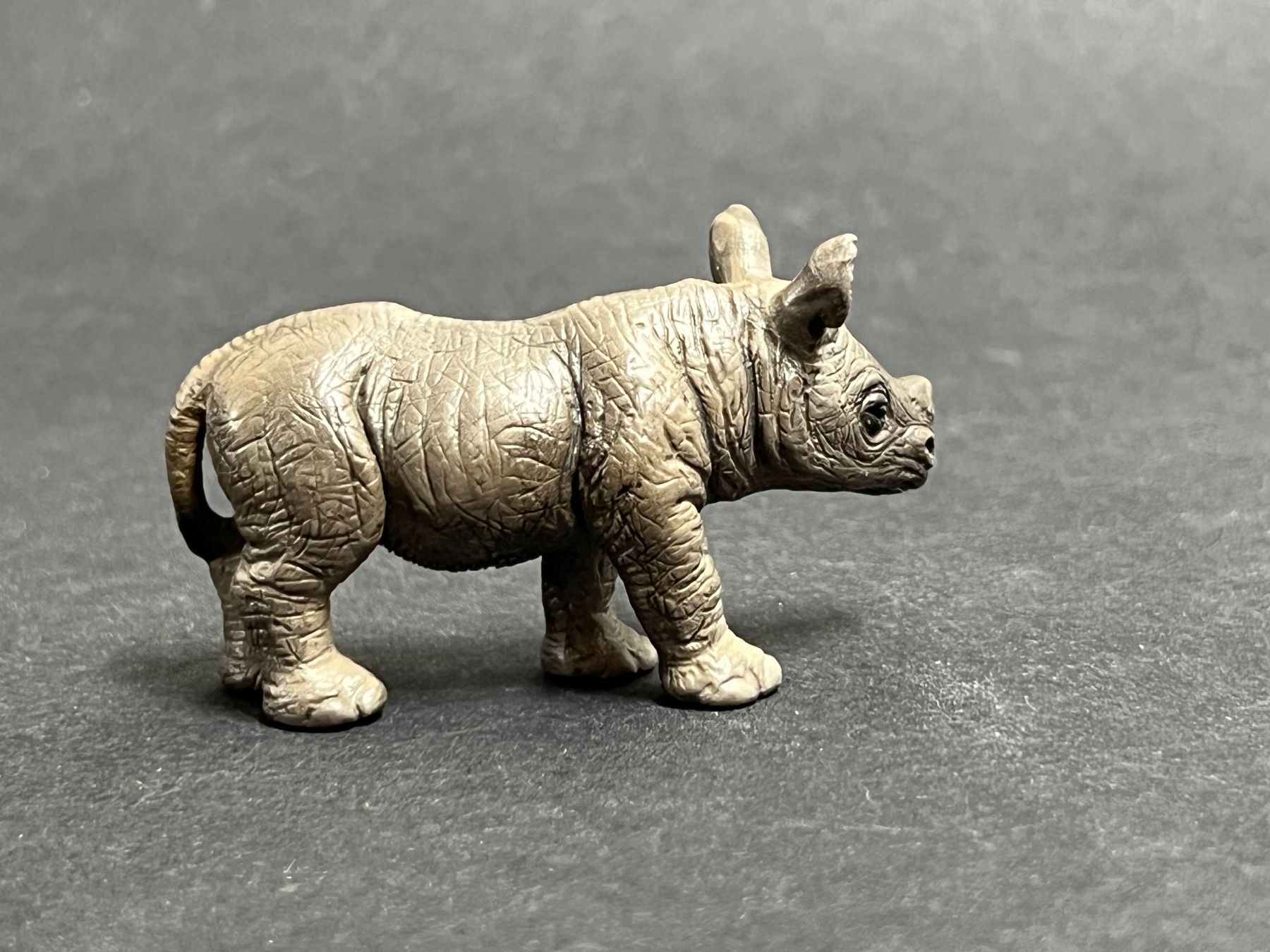Schleich Statuette: Schleich Spitzmaulnashorn Nashorn Tier – Usato da Ennetbaden venduto da mapa05 8