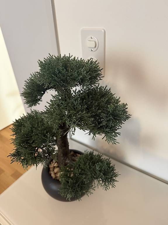Pflanzen & Samen: Kunstpflanze Bonsai – Neu und originalverpackt aus Zürich von Marti97 1