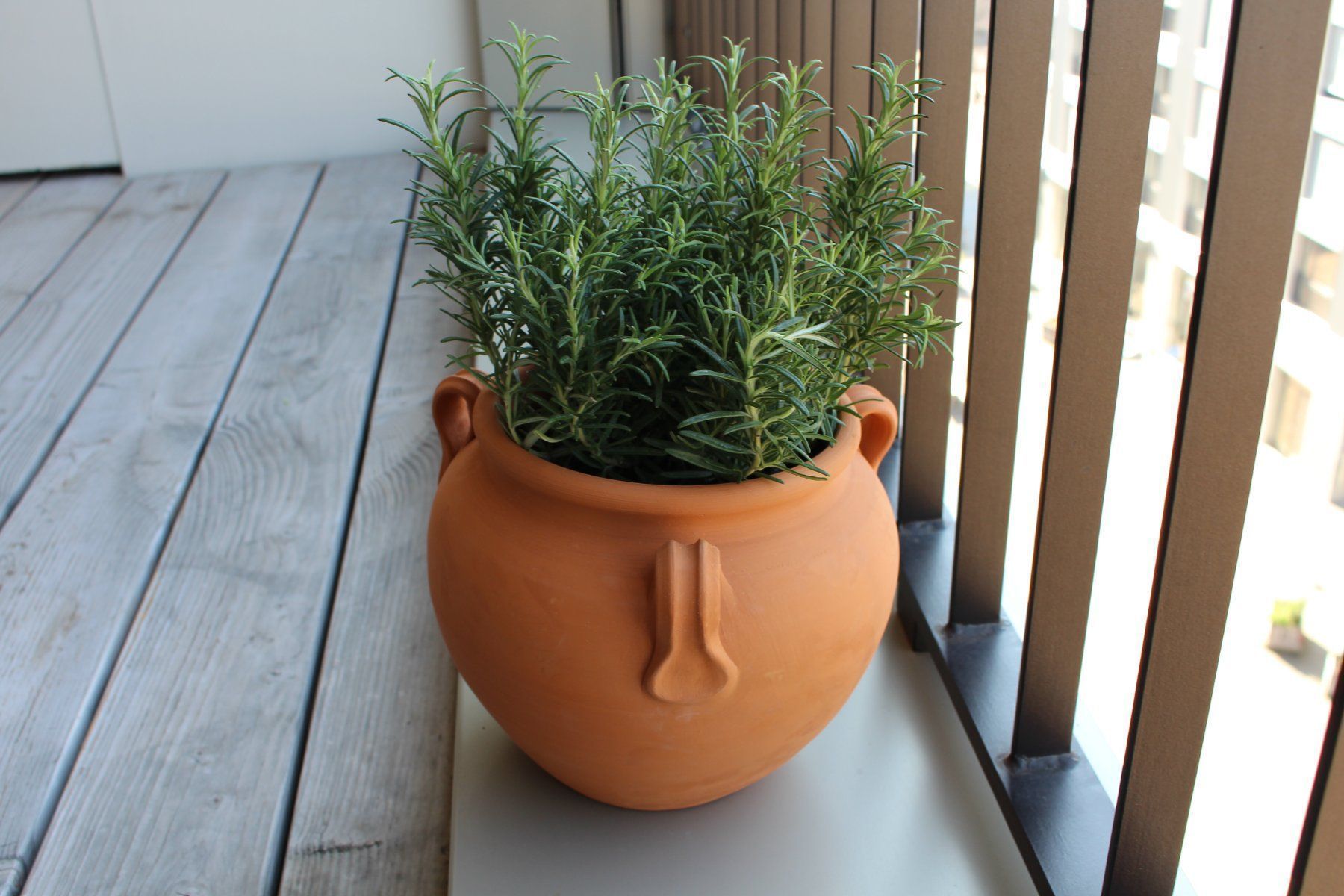Blumentöpfe: Garten Blumentopf handgemacht aus Ton – Neu und originalverpackt aus Zürich von StellaKar 1