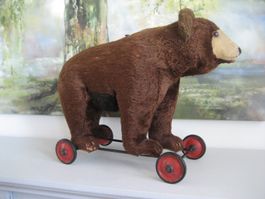 Alter grosser Steiff Bär auf Rädern 1930/40 – Ours Antik