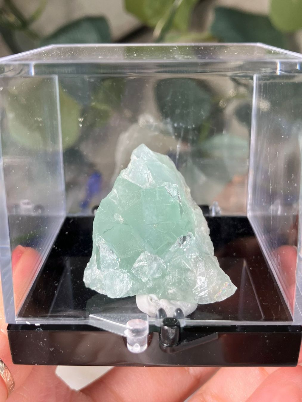 Pietre preziose: Grüner Fluorit – Usato da Neuheim venduto da m.hald 1