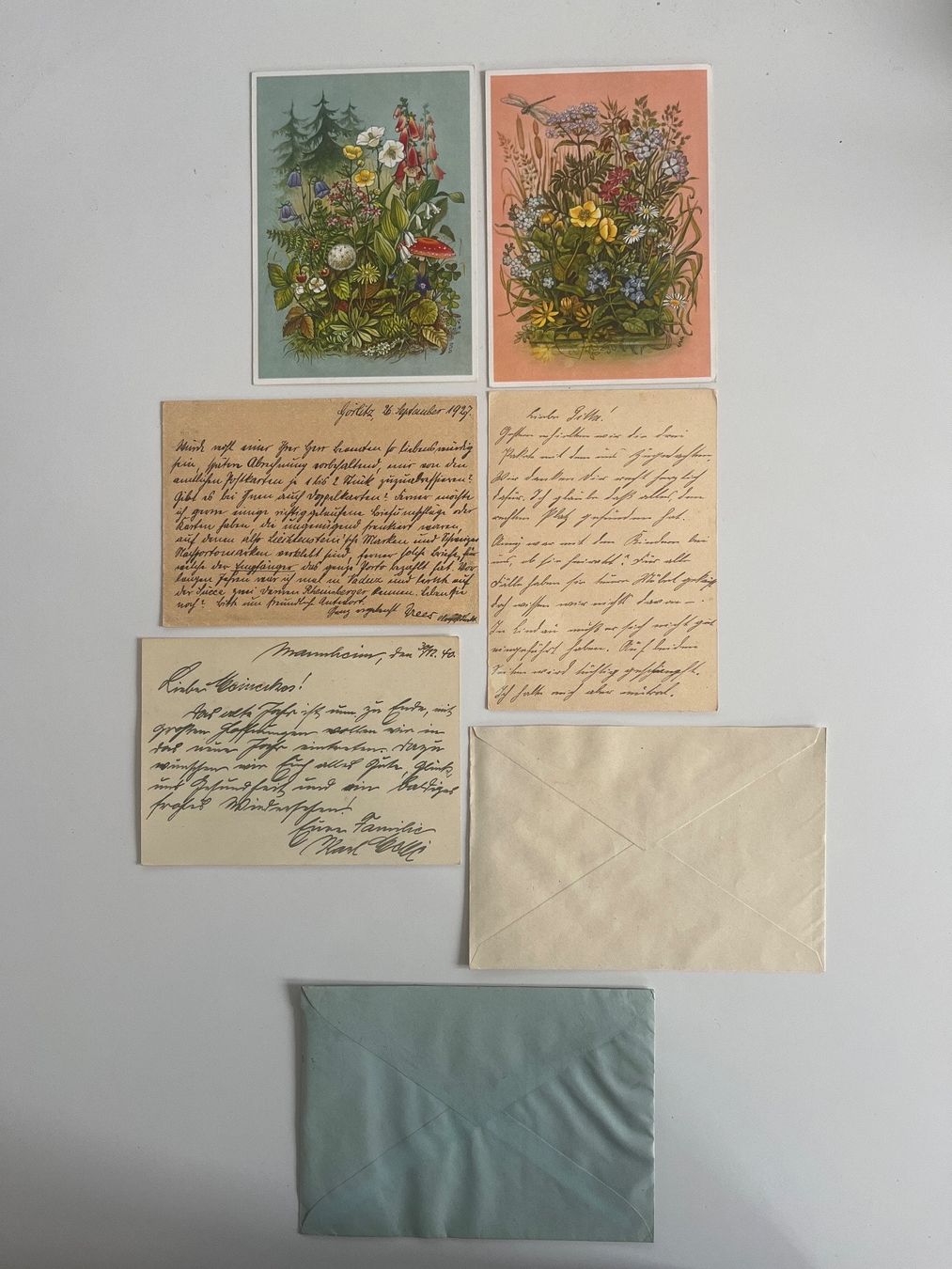Alle Briefmarken: Ganzsachen Deutsches Reich – Gebraucht aus Adliswil von derrick0825 1