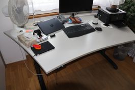 Stehpult höhenverstellbar (Elektronik teilweise defekt)