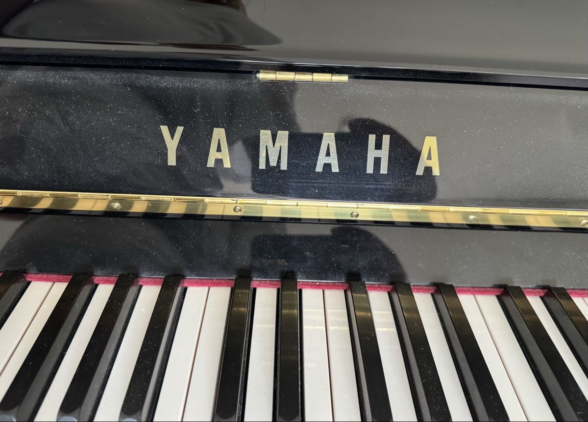 Yamaha Strumenti musicali: Yamaha Silent Piano – Usato da Winterthur venduto da Anilarab 2