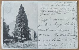 Lugano Hotel Victoria um 1900
