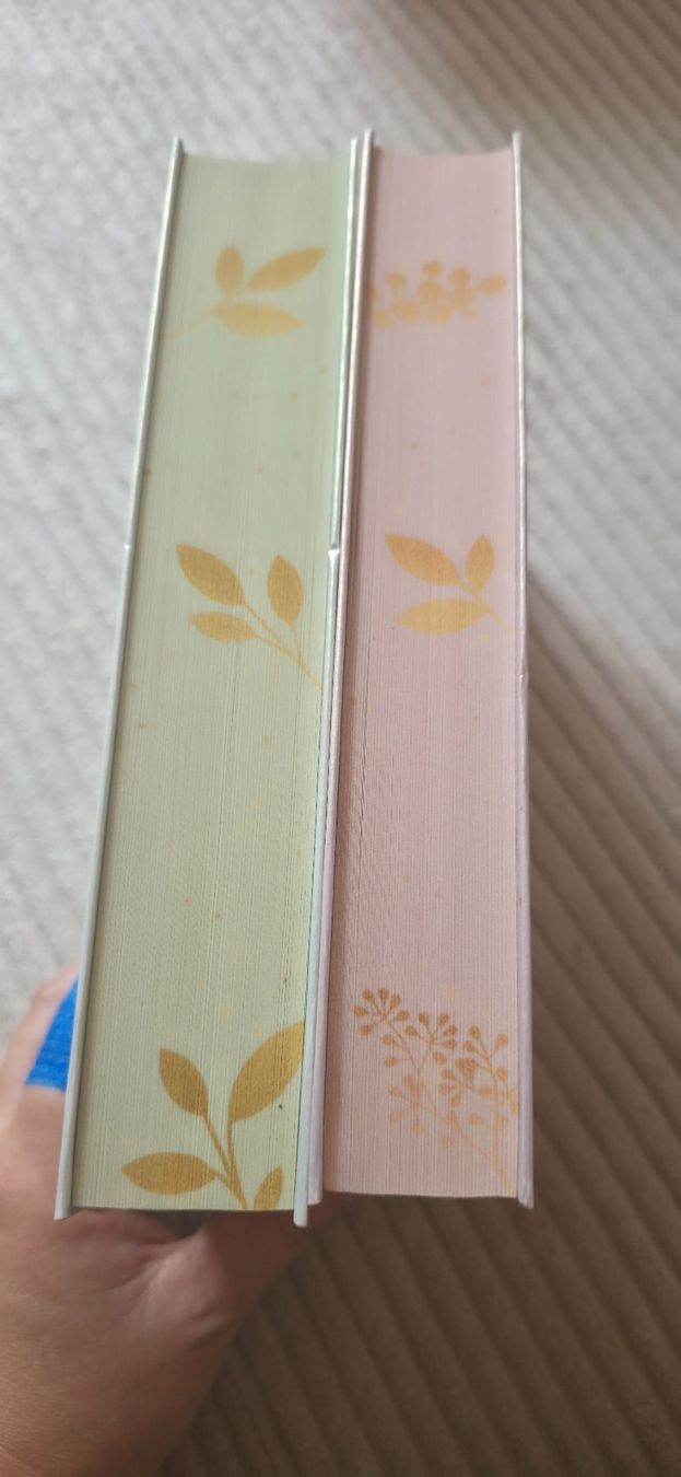 Libri: Cinder &Ella Schmuckausgabe – Usato da Erstfeld venduto da Planties 1