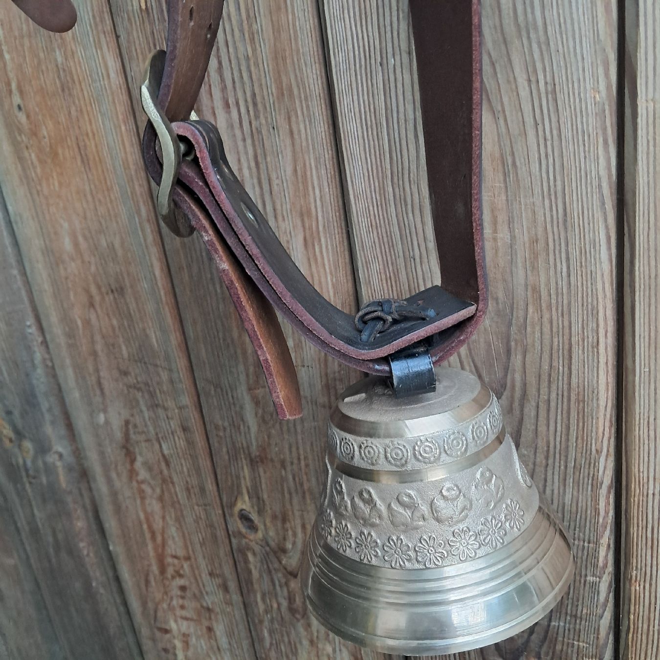 Campanacci mucche: NEUWERTIGE GLOCKE GUSSET  – Usato da Murten venduto da SHETHOF 3