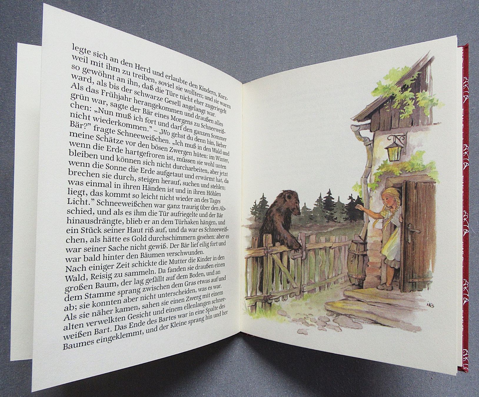 Bücher: Schneeweischen und Rosenrot - wunderschön illustriert – Gebraucht aus Auenstein von Padabimbim 4