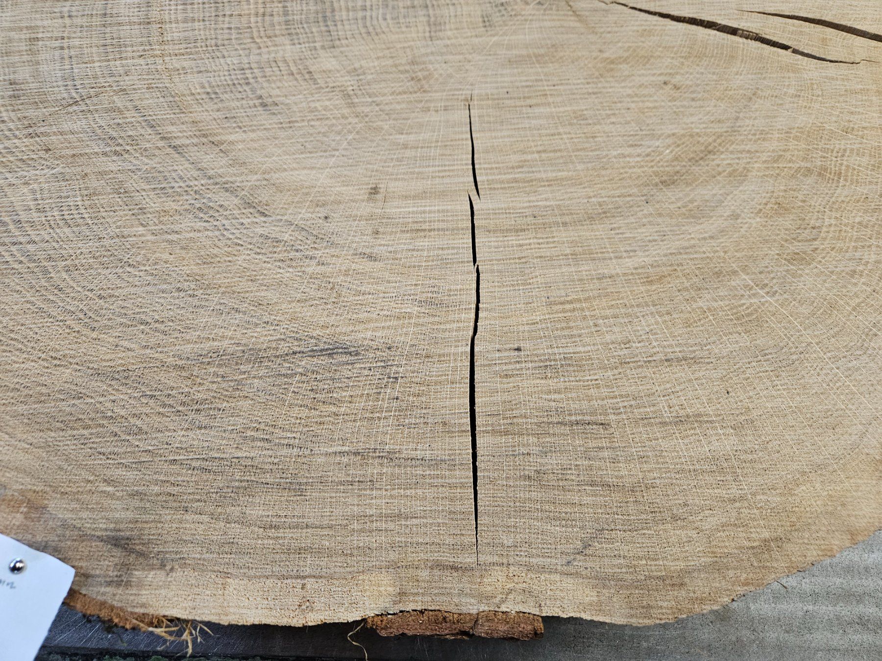 Holzartikel: Eichen Holz Baumscheibe – Neu (gemäss Beschreibung) aus Schangnau von egli6.2 1
