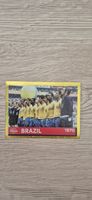 Panini 2022 - FWC 23