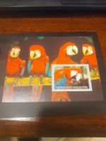 Timbre rare: République Démocratique du Congo, Aras 🦜🇨🇫
