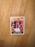 Erling Haaland Panini Extra Sticker - Top Zustand