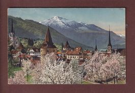 ZUG - Frühling
