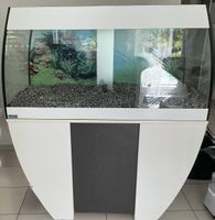 Aquarium Komplett-Set 270l + Filter, Zubehör & Deko GRATIS