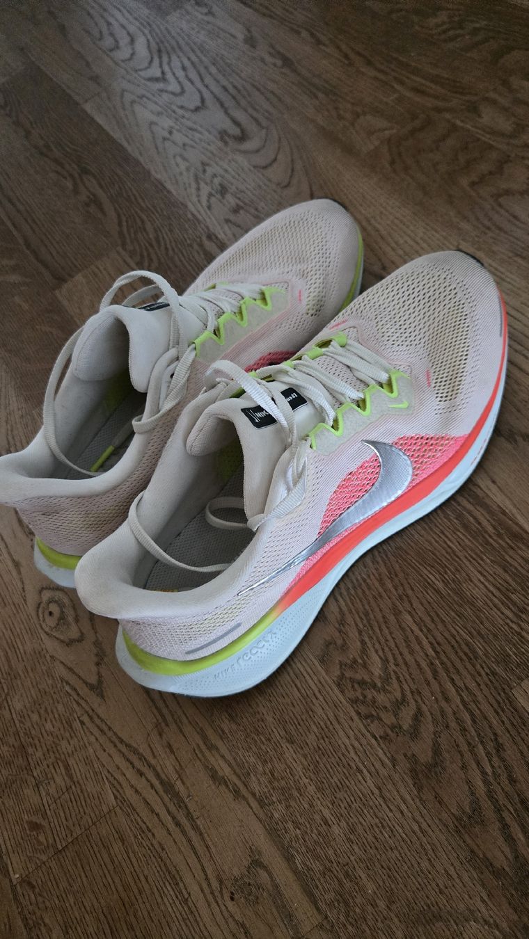 Nike Chaussures femmes: Nike Pegasus 41 Grösse 43 – D'occasion à Mönchaltorf par mic_m72h