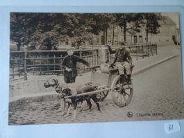 Antike Postkarte: Hunde-Fuhrwerk, "Charrette laitière"