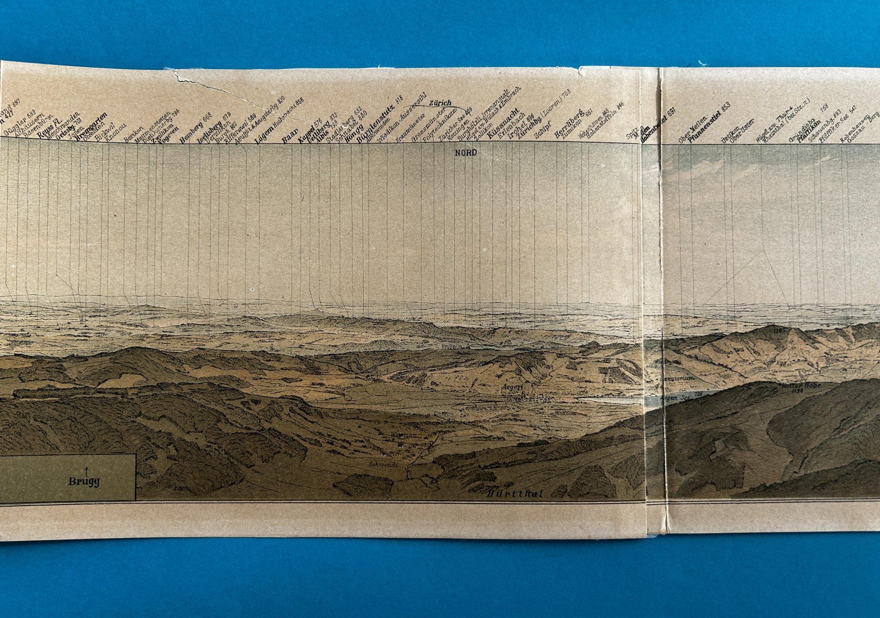 Cartine & Atlanti: PANORAMA VOM ROSSBERG (SAC 1887) – Usato da Zürich venduto da Domus09 2