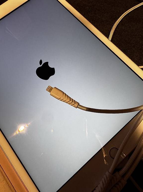 Tablet PC: Apple IPad  – Usato da Arbon venduto da Sportelchli 4