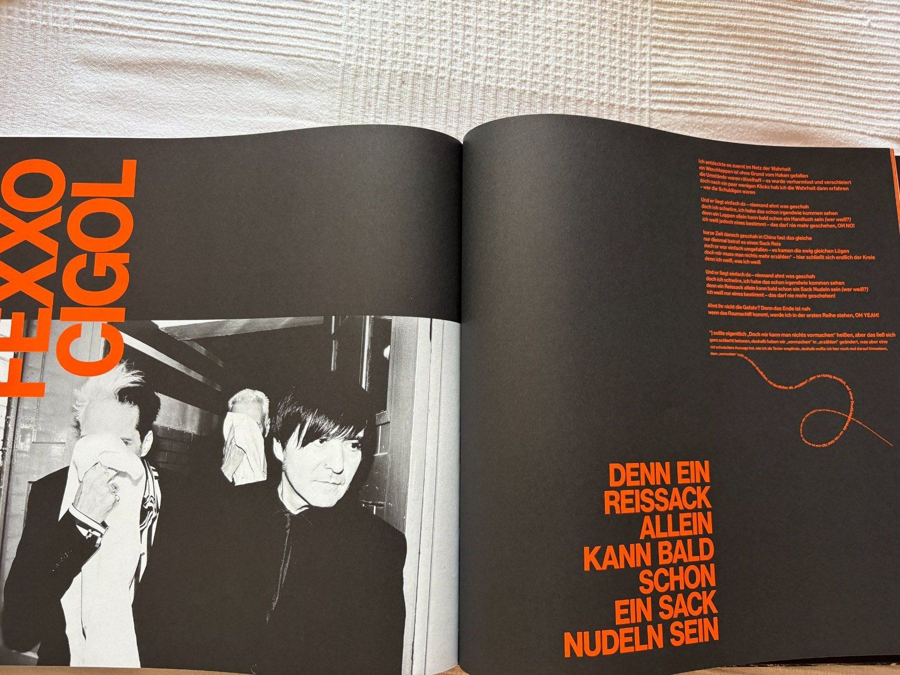Schallplatten: Die Ärzte - Hell 2x Vinyl LP – Gebraucht aus Effretikon von ChrisLamberger 4