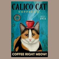🔥 CAT COFFEE Katzen Blechschild 🩵 20x30cm OVP 🔥