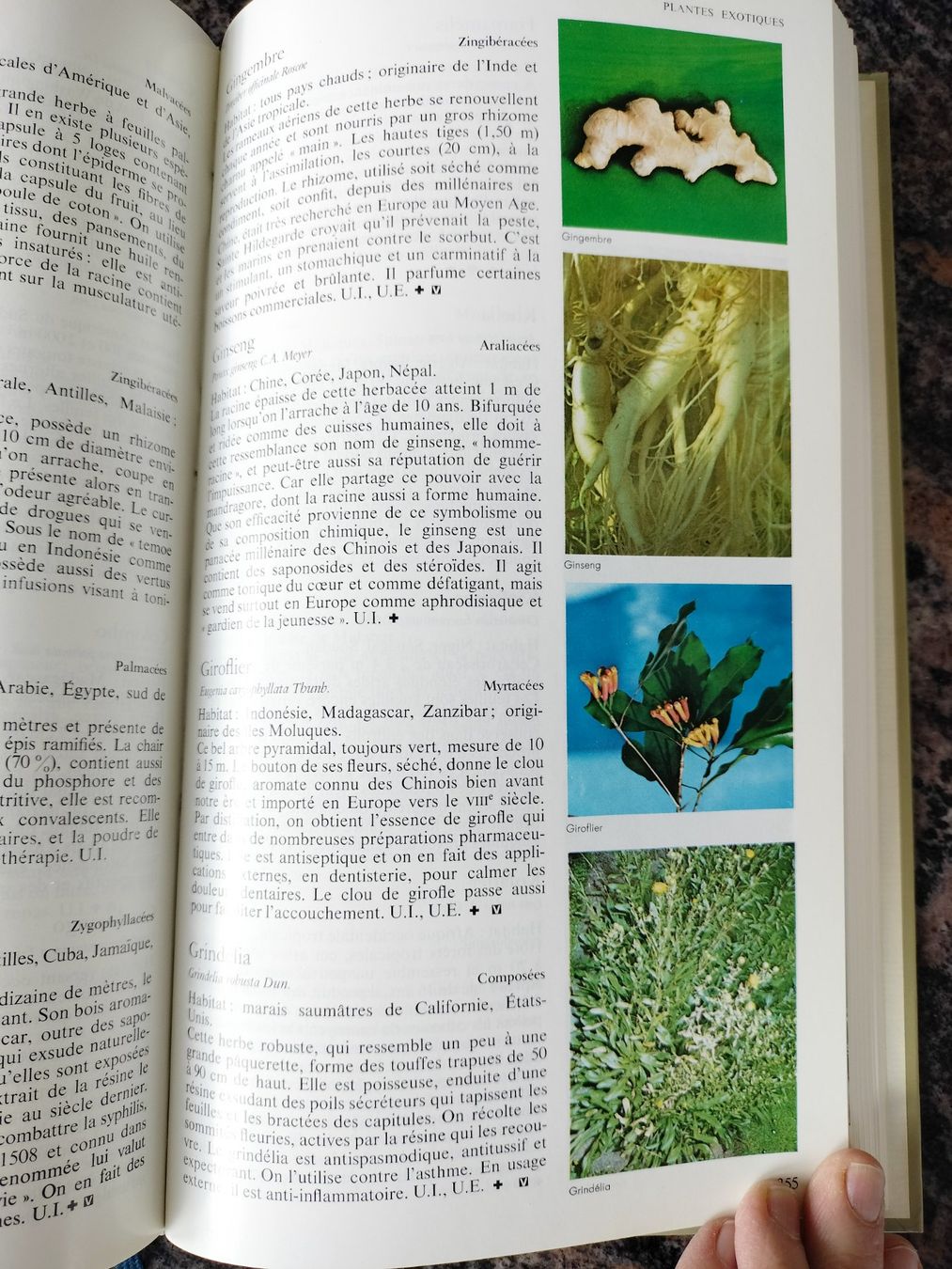 Libri: Secrets et vertus des plantes médicinales – Usato da Cortaillod venduto da rozinna 8
