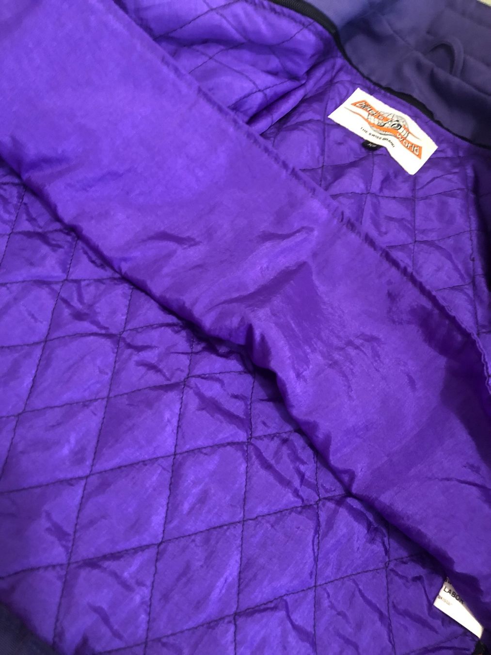 Protezioni & Imbottiture: Motorradjacke – Usato da Niederhasli venduto da bluedog21 4