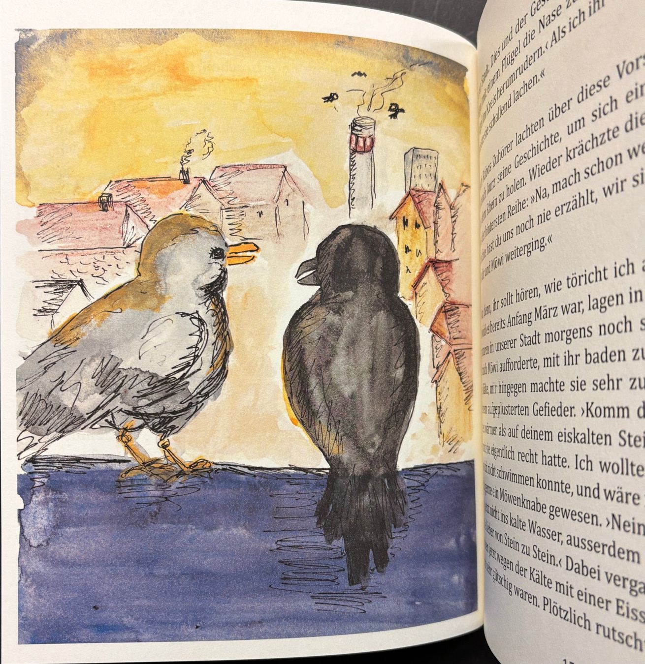 Libri: Langloh Nicky, Rabo und Möwi – Nuovo (secondo la descrizione) da Sarnen venduto da Livres 3