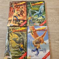Drachenherz Bücher-Set (Thomas Brezina) 4 Stück Top!