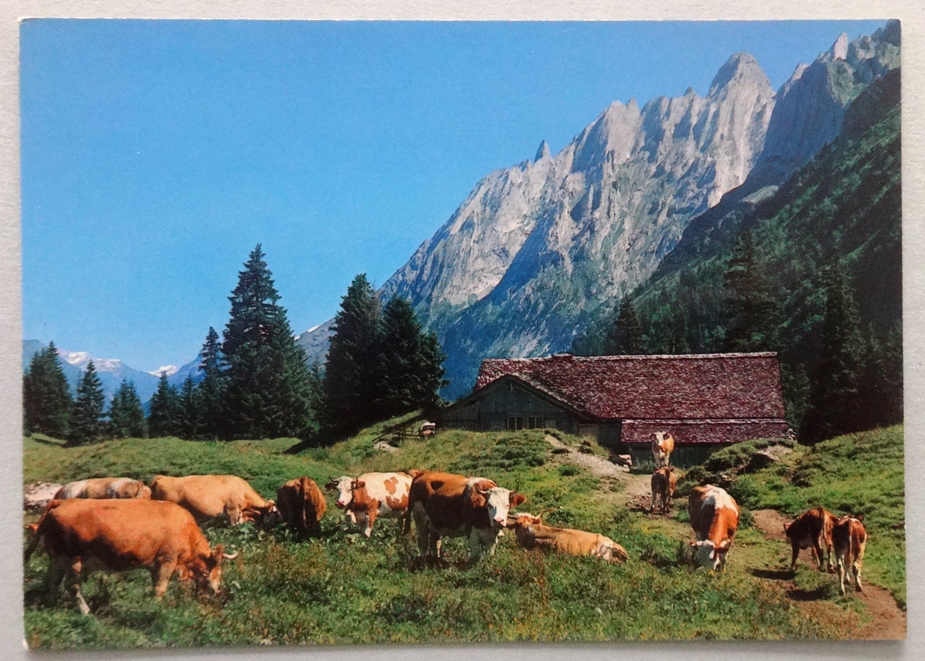 Cartoline postali: Schwandboden, am Weg Gr. Scheidegg – Usato da Fétigny venduto da Billy2miny