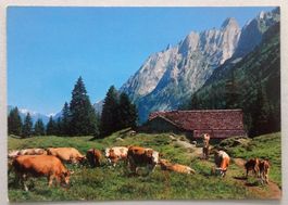 Schwandboden, am Weg Gr. Scheidegg