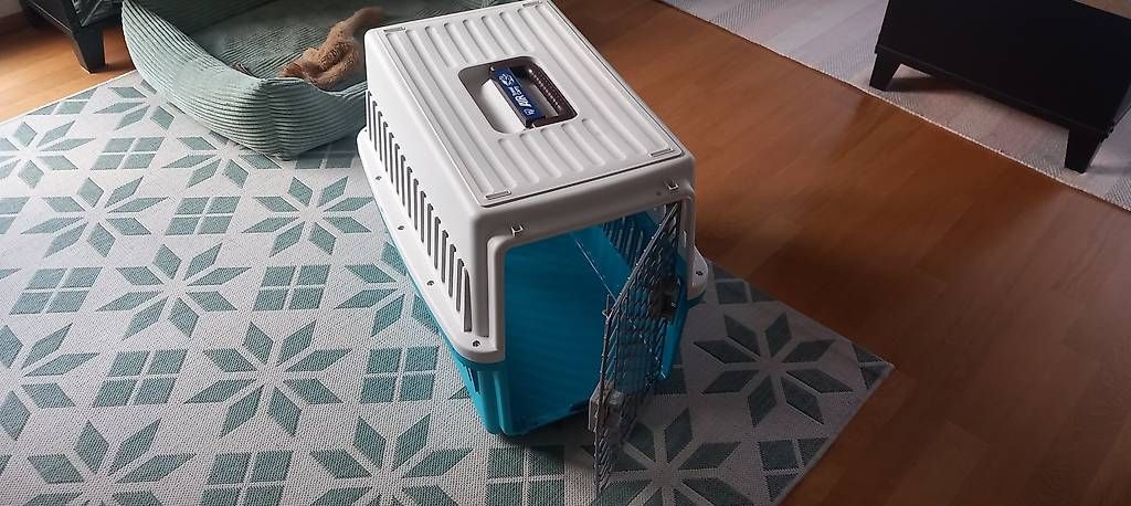 Gabbie, trasporto & Sicurezza: Hundebox – Usato da Aathal-Seegräben venduto da Reto1203 3