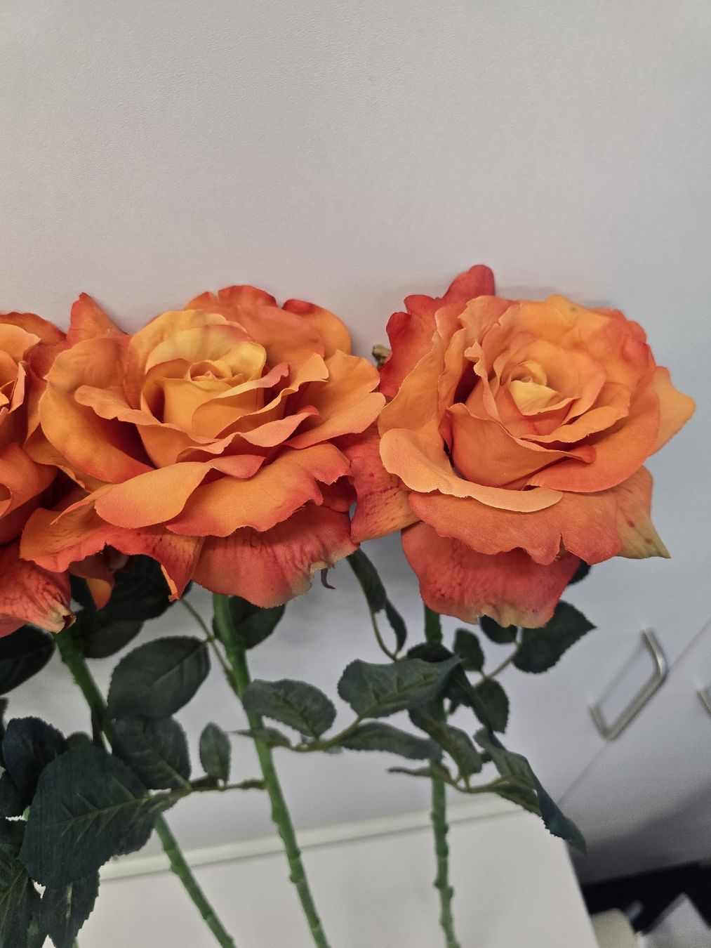 Tutte le decorazioni: Kunstblumen x6 – Usato da St. Gallen venduto da CAPYCORP 3