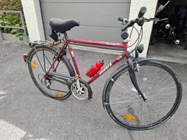 Herrenfahrrad Mondia