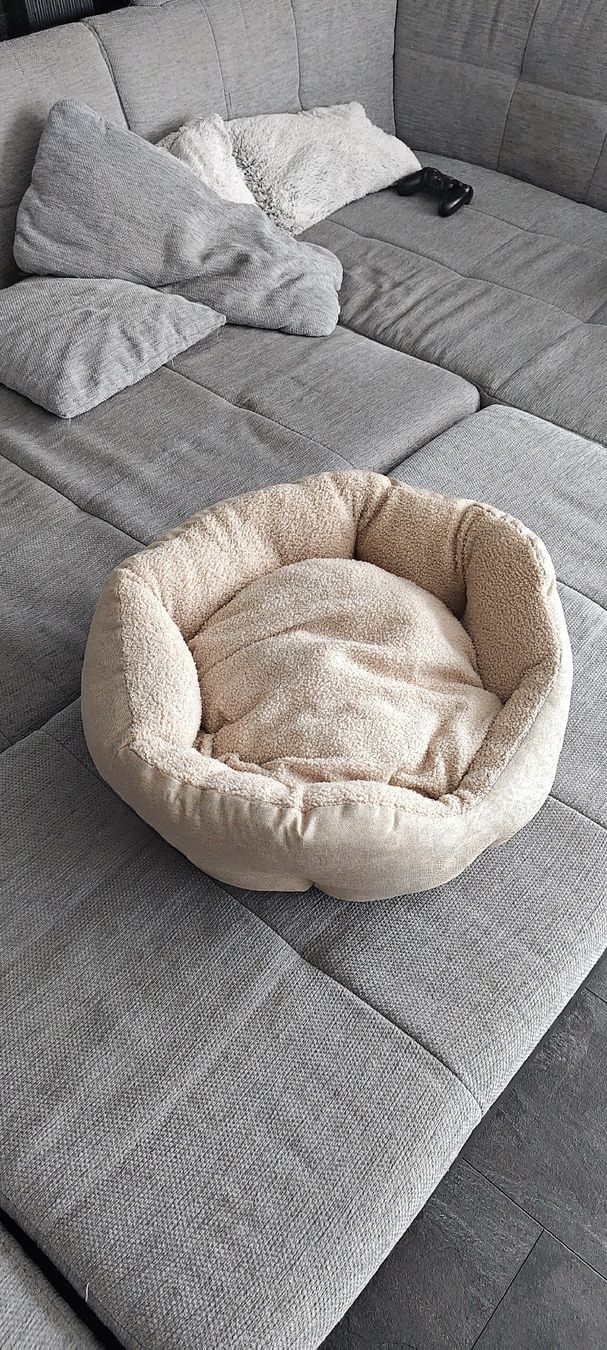 Liege- & Schlafplätze: Katzenbett – Gebraucht aus Niederhelfenschwil von Breitling_89