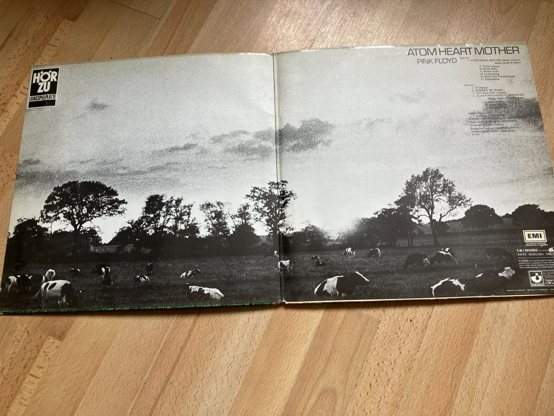 Dischi in vinile: Pink Floyd – Usato da Aarwangen venduto da Jukebox3 3