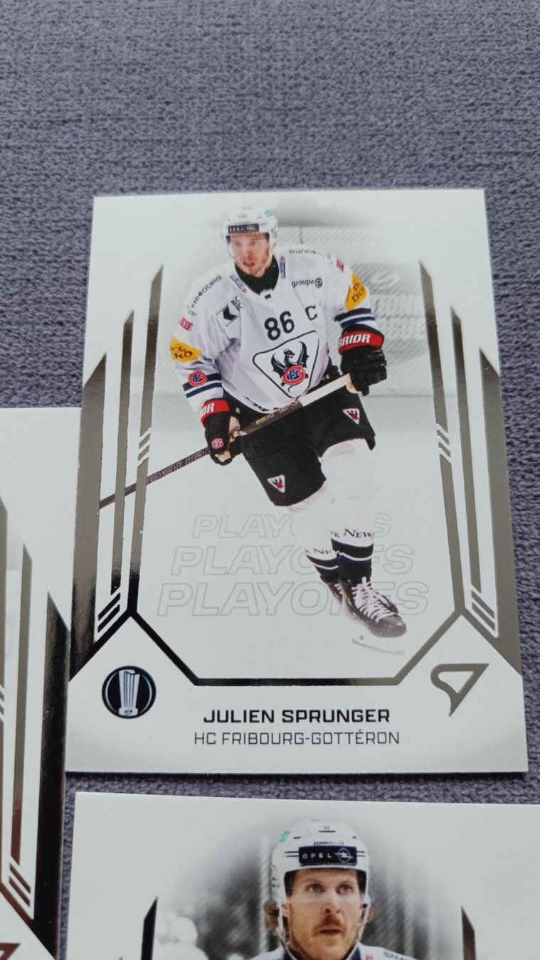 Sportzoo Carte collezionabili: NLA Playoffs Karten 24/25 – Usato da Fischingen venduto da Mkr81 3