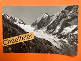 9679 Langgletscher, Lötschental. Lötschenlücke u. Sattelhorn