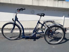 Dreirad Pfautec Classic Seniorenrad