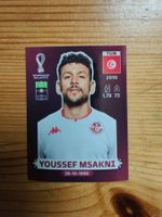 Panini WM 2022-TUN 19