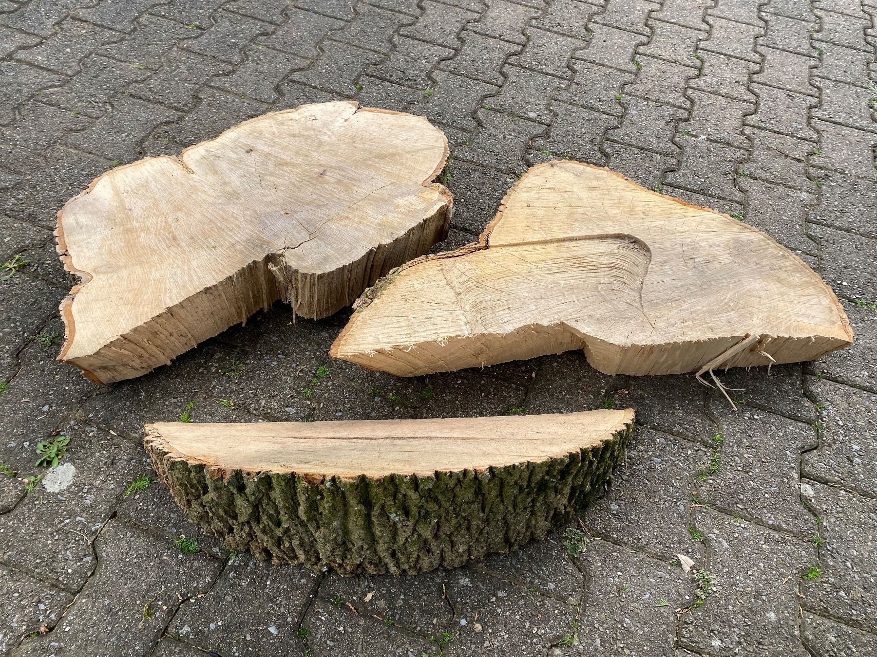 Articoli in legno: 3 schöne Esche-Baumscheiben – Usato da Feldbach venduto da Olive1 4