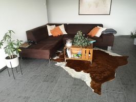 Ecksofa braun Marke Bullfrog guter Zustand