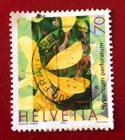 Nr.1073 Echtes Johanniskraut Pflanzen GESTEMPELT 2003   