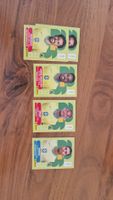 Panini FIFA World Cup WM 2026 / BRA4 6 8 15